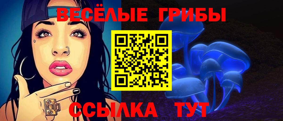 Псилоцибиновые грибы Magic Shrooms  наркотики  Тула  Вход с VPN 